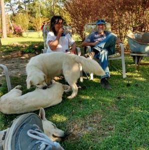 Meet your Posher, Diane